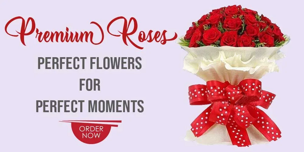 premium roses