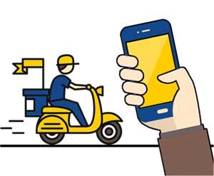 delivery schedule